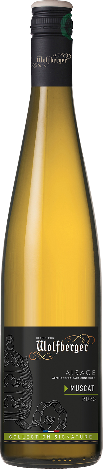 Signature Muscat Vin d'Alsace AOC