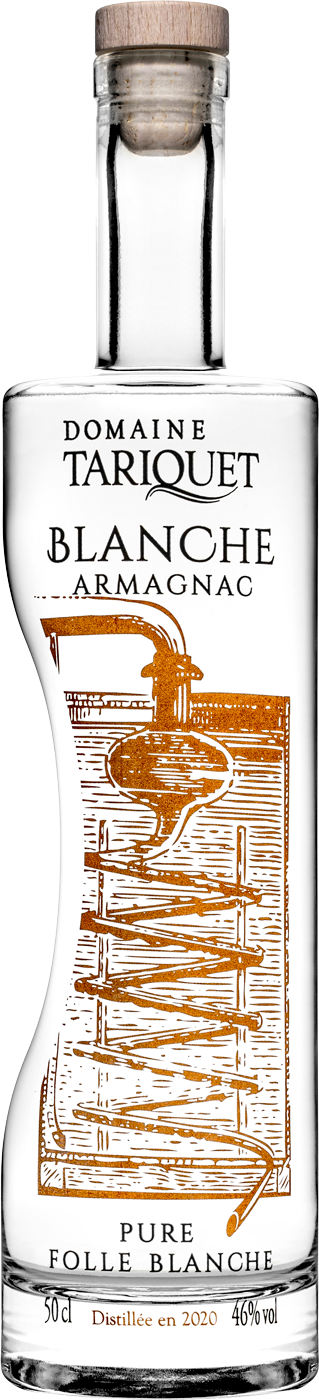 Blanche Armagnac Pure Folle Blanche Bas-Armagnac AOC